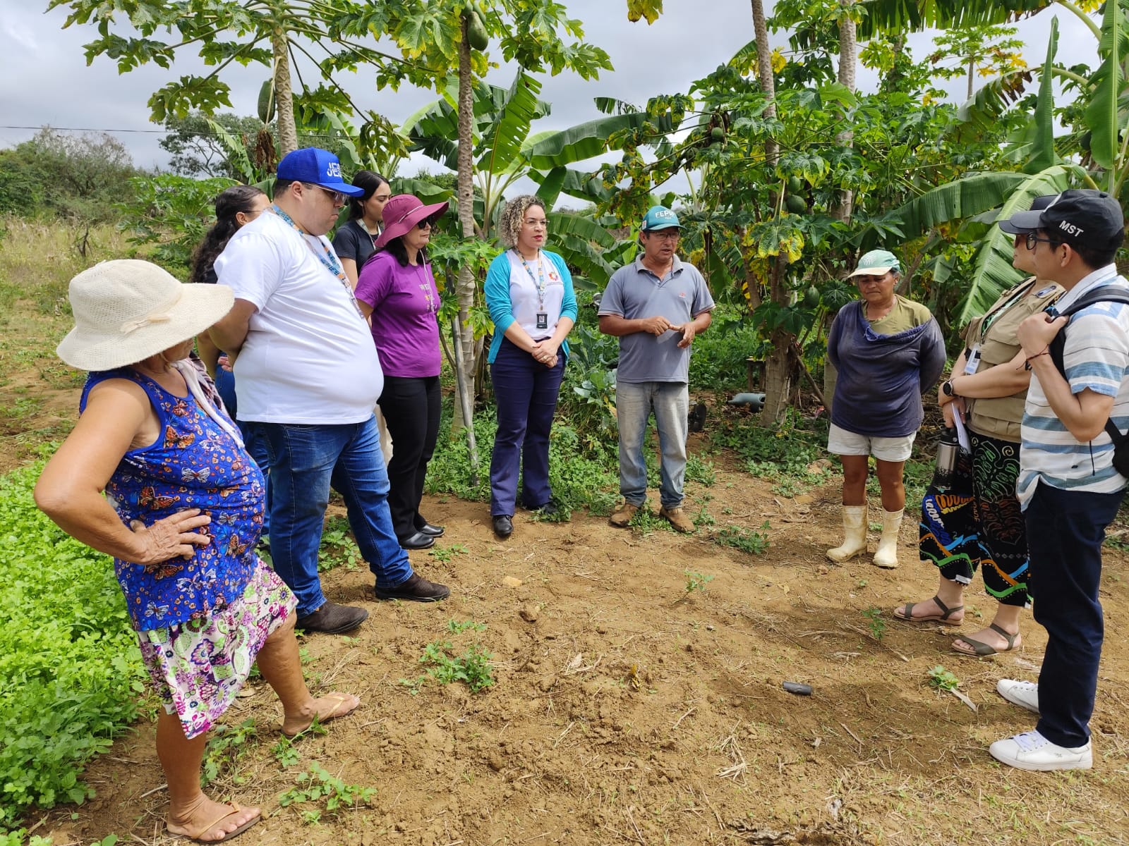 Parceria entre UFCG e Prefeitura de Cuité fortalece agricultores que abastecem merenda escolar